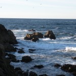 ah, the ocean... 