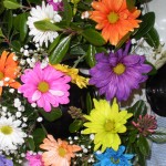 cheerful flowers